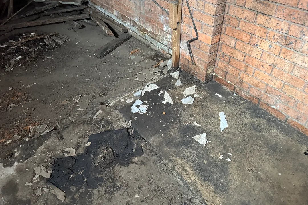 Asbestos Inspection Sydney